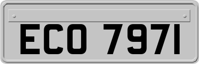ECO7971