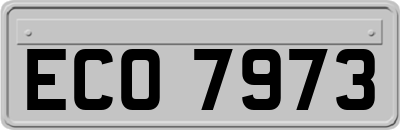 ECO7973