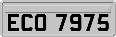 ECO7975