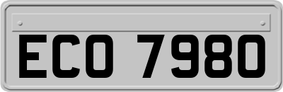 ECO7980
