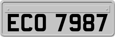 ECO7987
