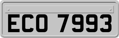 ECO7993