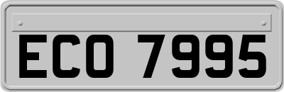 ECO7995