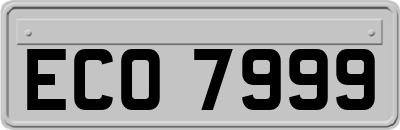 ECO7999