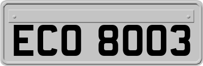 ECO8003