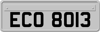 ECO8013