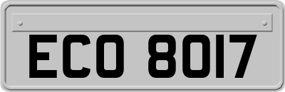 ECO8017