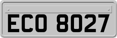 ECO8027