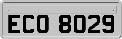 ECO8029