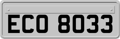 ECO8033