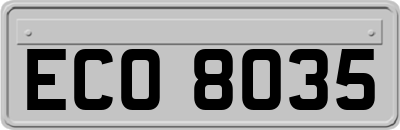 ECO8035