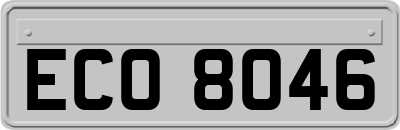 ECO8046