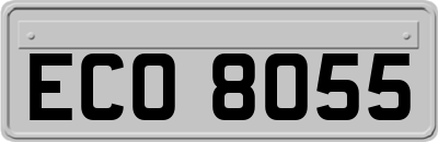 ECO8055