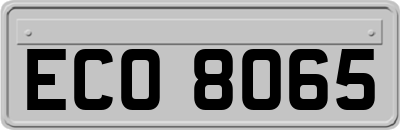 ECO8065