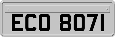 ECO8071