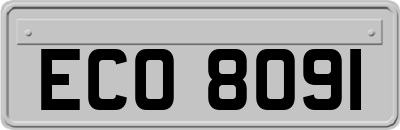 ECO8091