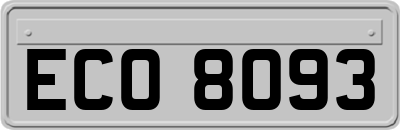 ECO8093