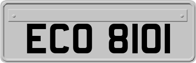 ECO8101