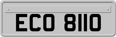 ECO8110