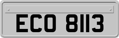 ECO8113
