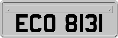 ECO8131