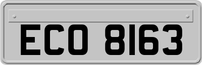 ECO8163