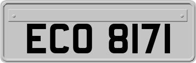 ECO8171