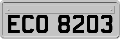 ECO8203