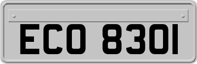 ECO8301