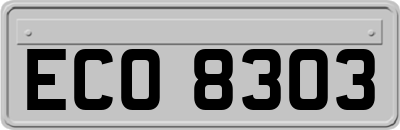 ECO8303