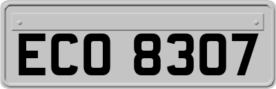 ECO8307