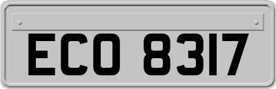 ECO8317