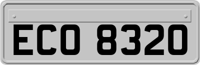 ECO8320