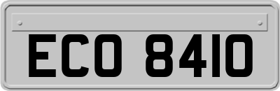 ECO8410