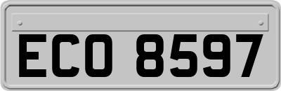 ECO8597