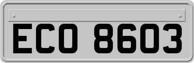 ECO8603