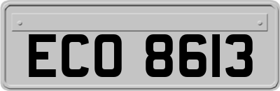 ECO8613