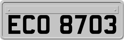 ECO8703