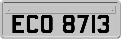 ECO8713