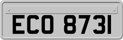 ECO8731