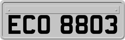 ECO8803