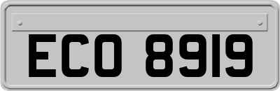 ECO8919