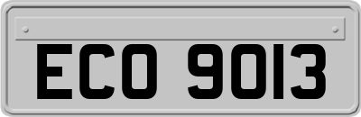 ECO9013