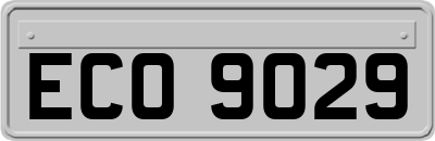 ECO9029