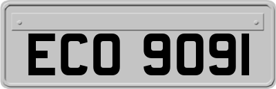 ECO9091
