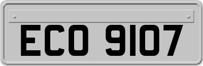 ECO9107