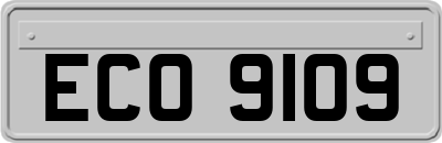 ECO9109