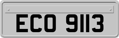 ECO9113