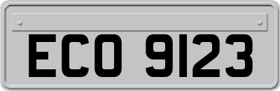 ECO9123