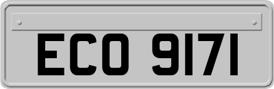 ECO9171